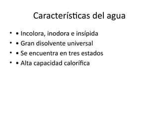 Día Mundial del Agua: Importancia, Características y Conservación del ...