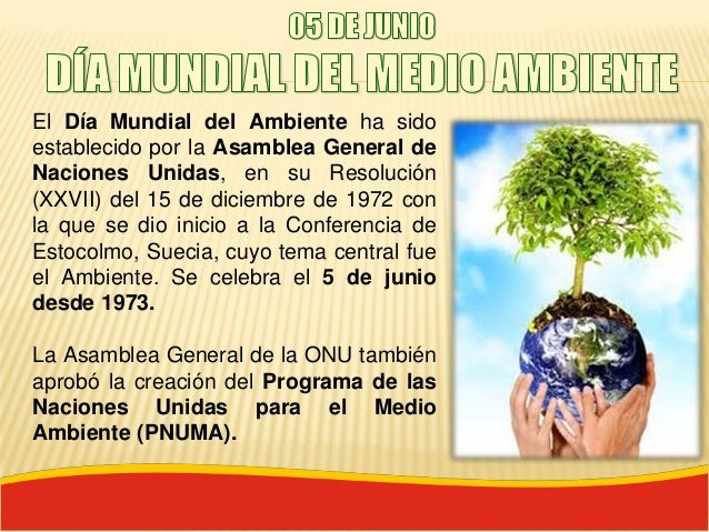 05 JUNIO, DÍA MUNDIAL DEL MEDIO AMBIENTE