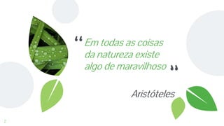 “Em todas as coisas
da natureza existe
algo de maravilhoso
Aristóteles
2
 