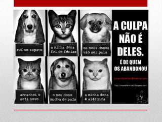 Dia mundial do animal