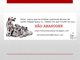 Dia mundial do animal