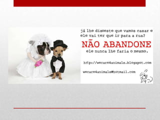 Dia mundial do animal