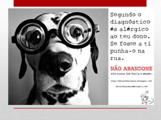 Dia mundial do animal