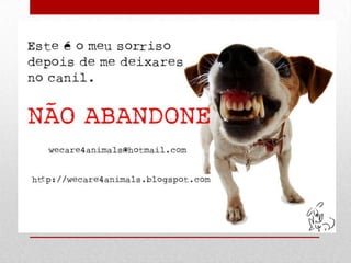 Dia mundial do animal