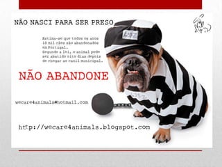 Dia mundial do animal