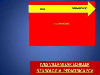 CRISIS                     CONVULSIVAS




          LEUCODISTROFIAS




 IVES VILLAMIZAR SCHILLER
NEUROLOGIA PEDIATRICA FCV
 