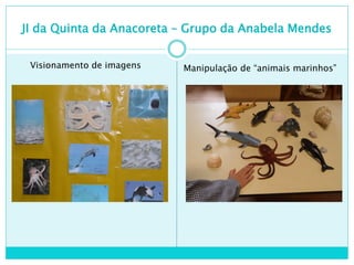 JI da Quinta da Anacoreta – Grupo da Anabela Mendes


 Visionamento de imagens   Manipulação de “animais marinhos”
 