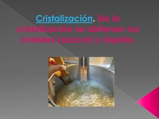 Cristalización. De la cristalización se obtienen los cristales (azúcar) y líquido. 