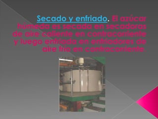 Secado y enfriado. El azúcar húmeda es secada en secadoras de aire caliente en contracorriente y luego enfriada en enfriadores de aire frío en contracorriente.