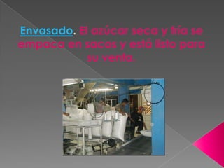 Envasado. El azúcar seca y fría se empaca en sacos y está listo para su venta. 