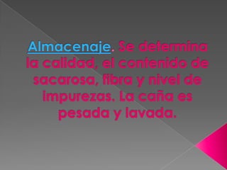 Almacenaje. Se determina la calidad, el contenido de sacarosa, fibra y nivel de impurezas. La caña es pesada y lavada.