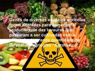 • Genes de diversas espécies agrícolas
  foram alteradas para aumentar a
  produtividade das lavouras que
  passaram a ser cultivadas com a
  utilização de grande quantidade de
  defensivos agrícolas “Agrotóxico”.
 