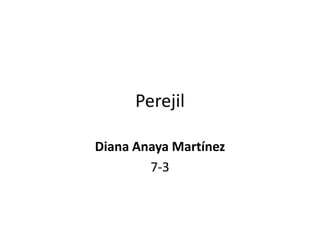 Perejil

Diana Anaya Martínez
        7-3
 