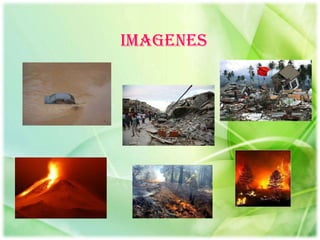 IMAGENES
 