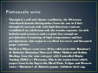 • Through it`s soil and climate conditions, the Pietroasa
viticultural domain distinguishes fromthe one in Urla iţ
through its osseous soil, with high limestone content,
established on calciferous soil, the terrain exposure, its rich
heliothermal resources and a regime low enough on
precipitation. Consisting of high temperatures and low
precipitations, this region is excellent forsweet and flavoured
grape varieties.
• Basilescu Winery owns over40 ha cultivated with: Busuioacă
de Bohotin, Romanian Muscatel, White Maiden and Italian
Riesling, fromthe wine category with Controlled Origin
Naming (D.O.C.) – Pietroasa. This is the region fromwhich
grapes fromin the Ingeri din Micul Paris, Eclipse and Dessert-
wines – Busuioac de Bohotin gamut, withdraw theirsap.ă
 