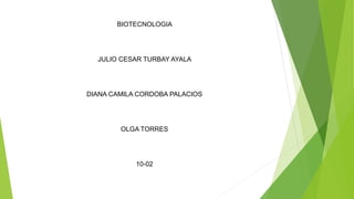 BIOTECNOLOGIA
JULIO CESAR TURBAY AYALA
DIANA CAMILA CORDOBA PALACIOS
OLGA TORRES
10-02
 