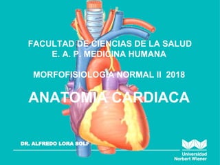 FACULTAD DE CIENCIAS DE LA SALUD
E. A. P. MEDICINA HUMANA
MORFOFISIOLOGIA NORMAL II 2018
ANATOMIA CARDIACA
DR. ALFREDO LORA SOLF
 