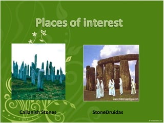 Callanish Stones  StoneDruidas  