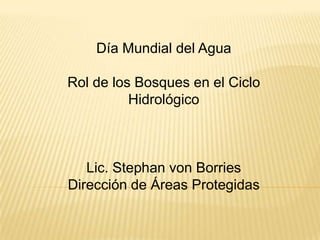 Día Mundial del Agua
Rol de los Bosques en el Ciclo
Hidrológico
Lic. Stephan von Borries
Dirección de Áreas Protegidas
 