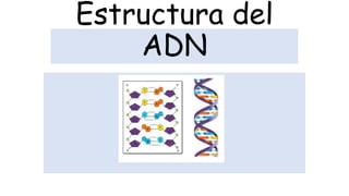Estructura del
ADN
1
 