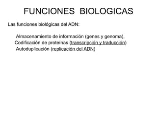 FUNCIONES BIOLOGICAS
Las funciones biológicas del ADN:

   Almacenamiento de información (genes y genoma),
   Codificación de proteínas (transcripción y traducción)
   Autoduplicación (replicación del ADN)
 