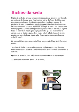Bichos-da-seda
Bicho-da-seda é a larvade uma espécie de mariposa (Bombyx mori) usada
na produção de fios de seda. Este inseto é nativo do Norte da China mas
encontra-se atualmente distribuído por todo o mundo em quintas de
produção de seda, denominada sericicultura.O bicho-da-seda alimenta-se
exclusivamente de folhas de Amoreira, ao longo de toda a sua fase de vida
larvar (lagarta). Ao fim de um período de pouco mais de um mês, a lagarta
torna-se amarelada e começa a segregar um fio que usa para formar o
casulo onde se dará a metamorfose para o estado adulto (imago). É esse
casulo que serve de fonte para a seda. Estas mariposas que produzem a
seda (B. mori).

Os nossos bichos nasceram no dia 30 de Março e dia 20 de Abril fizeram o
casulo.

 No dia 4 de Junho eles transformaram-se em borboletas e um dia mais
tarde começaram a acasalar. Os bichos-da-seda demoram dois ou três dias a
acasalar.

Quando os bicho-da-seda estão no casulo transformam-se em crisálida.

As borboletas morreram no dia 20 de Junho.
 