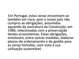     Em Portugal, estas zonas encontram-se também em risco, pois o nosso país não cumpriu as obrigações, assumidas aquando da assinatura da Convenção, em 1980, relacionadas com a preservação destes ecossistemas. Estas obrigações, envolviam, entre outras medidas, elaborar planos de ordenamento e de gestão para as zonas húmidas, com vista à sua utilização sustentável. 