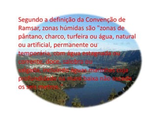 Segundo a definição da Convenção de Ramsar, zonas húmidas são "zonas de pântano, charco, turfeira ou água, natural ou artificial, permanente ou temporária, com água estagnada ou corrente, doce, salobra ou salgada, incluindo águas marinhas cuja profundidade na maré baixa não exceda os seis metros."