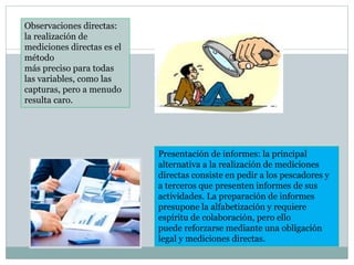 Observaciones directas:
la realización de
mediciones directas es el
método
más preciso para todas
las variables, como las
capturas, pero a menudo
resulta caro.
Presentación de informes: la principal
alternativa a la realización de mediciones
directas consiste en pedir a los pescadores y
a terceros que presenten informes de sus
actividades. La preparación de informes
presupone la alfabetización y requiere
espíritu de colaboración, pero ello
puede reforzarse mediante una obligación
legal y mediciones directas.
 