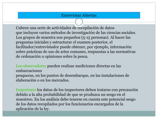 Entrevistas Abiertas
Cubren una serie de actividades de recopilación de datos
que incluyen varios métodos de investigación de las ciencias sociales.
Los grupos de muestra son pequeños (5-15 personas). Al hacer las
preguntas iniciales y estructurar el examen posterior, el
facilitador/entrevistador puede obtener, por ejemplo, información
sobre prácticas de uso de artes comunes, respuestas a las normativas
de ordenación u opiniones sobre la pesca.
pueden realizar mediciones directas en las
embarcaciones
pesqueras, en los puntos de desembarque, en las instalaciones de
elaboración o en los mercados.
los datos de los inspectores deben tratarse con precaución
debido a la alta probabilidad de que se produzca un sesgo en el
muestreo. En los análisis debe tenerse en cuenta este potencial sesgo
de los datos recopilados por los funcionarios encargados de la
aplicación de la ley.
 