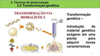 2. Técnicas de biotecnologia
2.2 Transformação genética
Transformação
genética –
Introdução de
material genético
exógeno em uma
planta para
adquirir novas
características
10
 