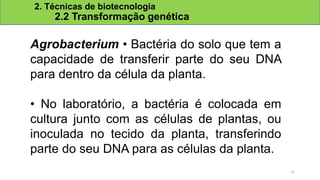 2. Técnicas de biotecnologia
2.2 Transformação genética
Agrobacterium • Bactéria do solo que tem a
capacidade de transferir parte do seu DNA
para dentro da célula da planta.
• No laboratório, a bactéria é colocada em
cultura junto com as células de plantas, ou
inoculada no tecido da planta, transferindo
parte do seu DNA para as células da planta.
11
 