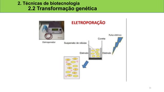 2. Técnicas de biotecnologia
2.2 Transformação genética
12
 