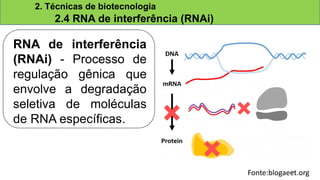 Fonte:blogaeet.org
RNA de interferência
(RNAi) - Processo de
regulação gênica que
envolve a degradação
seletiva de moléculas
de RNA específicas.
2. Técnicas de biotecnologia
2.4 RNA de interferência (RNAi)
15
 