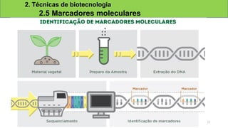 2. Técnicas de biotecnologia
2.5 Marcadores moleculares
17
 