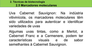 2. Técnicas de biotecnologia
2.5 Marcadores moleculares
Uva Cabernet Sauvignon: Na indústria
vitivinícola, os marcadores moleculares têm
sido utilizados para autenticar e identificar
variedades de uvas
Algumas uvas tintas, como a Merlot, a
Cabernet Franc e a Carmenere, podem ter
características visuais e de sabor
semelhantes à Cabernet Sauvignon.
 