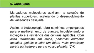 6. Conclusão
Marcadores moleculares auxiliam na seleção de
plantas superiores, acelerando o desenvolvimento
de variedades desejada.
Assim, a biotecnologia abre caminhos empolgantes
para o melhoramento de plantas, impulsionando a
inovação e a resiliência das culturas agrícolas. Com
essa ferramenta em mãos, podemos enfrentar
desafios globais e criar um futuro mais promissor
para a agricultura e para o nosso planeta. 🌱✨
32
 
