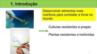 1. Introdução
Desenvolver alimentos mais
nutritivos para combater a fome no
mundo
Culturas resistentes a pragas
Plantas resistentes a herbicidas
6
 