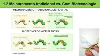 1.2 Melhoramento tradicional vs. Com Biotecnologia
MELHORAMENTO TRADICIONAL DE PLANTAS
BIOTECNOLOGIA DE PLANTAS
Fonte: Monsanto 8
 