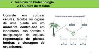 2. Técnicas de biotecnologia
2.1 Cultura de tecidos
Consiste em cultivar
células, tecidos ou órgãos
de uma planta em um
ambiente controlado em
laboratório. Isso permite a
multiplicação de células,
regeneração de plantas
inteiras e clonagem de
organismos.
9
 