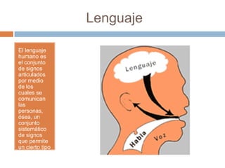 Lenguaje
El lenguaje
humano es
el conjunto
de signos
articulados
por medio
de los
cuales se
comunican
las
personas,
ósea, un
conjunto
sistemático
de signos
que permite
un cierto tipo
de
comunicació
n.
 