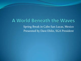 A World Beneath the Waves Spring Break in Cabo San Lucas, Mexico Presented by Dave Ehlin, SGA President 