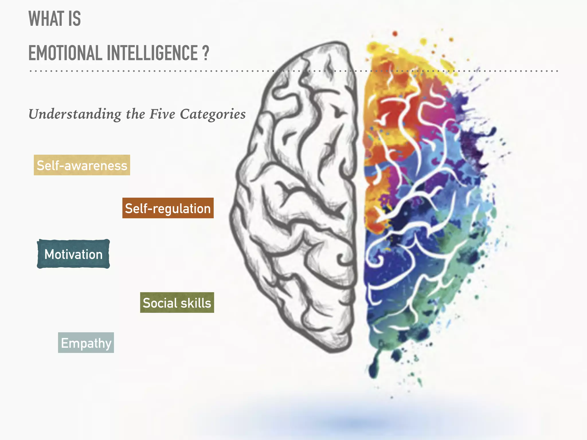 WHAT IS
EMOTIONAL INTELLIGENCE ?
Understanding the Five Categories
Self-awareness
Self-regulation
Motivation
Empathy
Social skills
 
