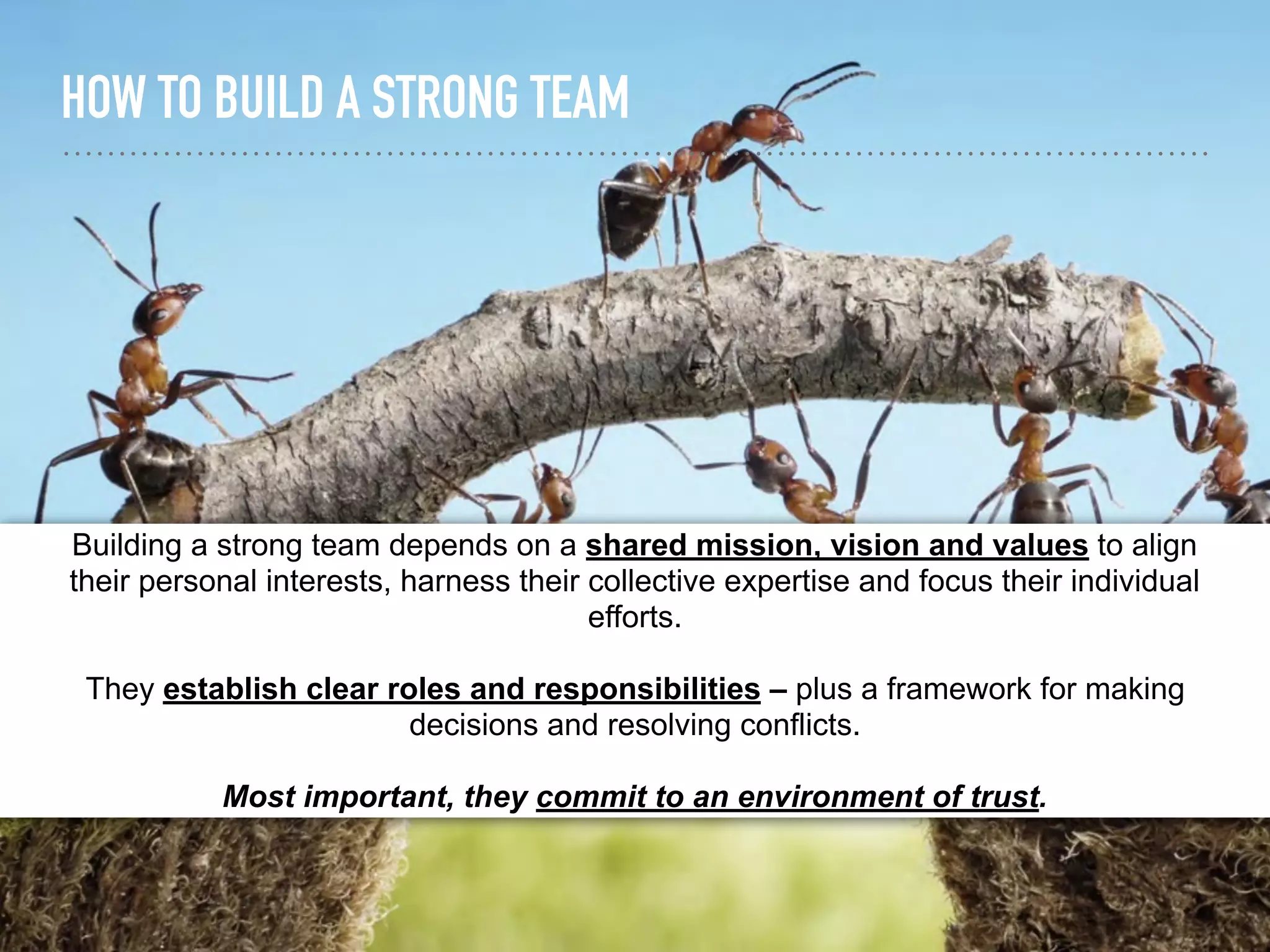 HOW TO BUILD A STRONG TEAM
Building a strong team depends on a shared mission, vision and values to align
their personal interests, harness their collective expertise and focus their individual
efforts.
They establish clear roles and responsibilities – plus a framework for making
decisions and resolving conflicts.
Most important, they commit to an environment of trust.
 