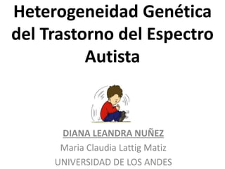 Heterogeneidad Genética
del Trastorno del Espectro
Autista
DIANA LEANDRA NUÑEZ
Maria Claudia Lattig Matiz
UNIVERSIDAD DE LOS ANDES
 