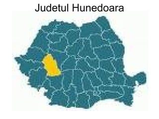 Judetul Hunedoara 