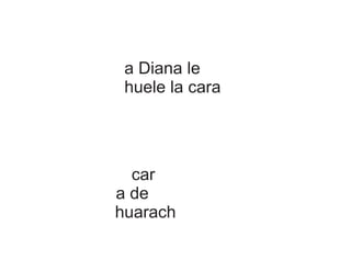 a Diana le
 huele la cara




  car
a de
huarach
 