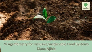 Photo: Robin Asselmayer
Vi Agroforestry for Inclusive,Sustainable Food Systems
Diana Njihia
 