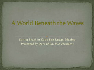 A World Beneath the Waves Spring Break in Cabo San Lucas, Mexico Presented by Dave Ehlin, SGA President 