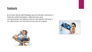 Endodoncia
Es el área de la odontología que se estudia, previene y
trata las enfermedades y alteraciones que
comprometen los tejidos internos del diente (nervios) y
sus relaciones con las estructuras que lo rodean.
 